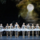 The Royal Ballet: Schwanensee